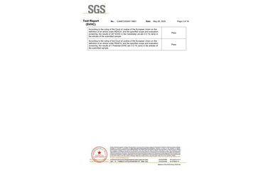 環保測試報告 SVHC CANEC25009119801