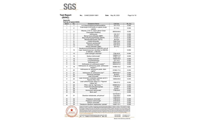 環保測試報告 SVHC CANEC25009119801